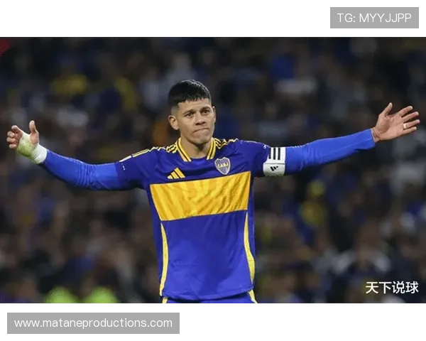 本菲卡本赛季表现稳健,竞争力持续提升 本菲卡本赛季表现稳健,竞争力持续提升