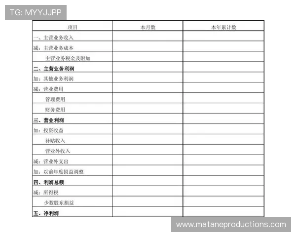 诺维奇本赛季转会净支出情况及财务策略分析 诺维奇本赛季转会净支出情况及财务策略分析